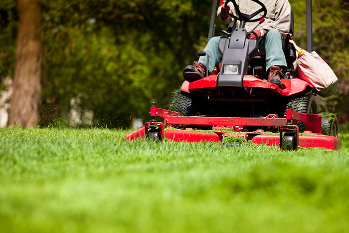 close up of yard with man on riding lawn mower