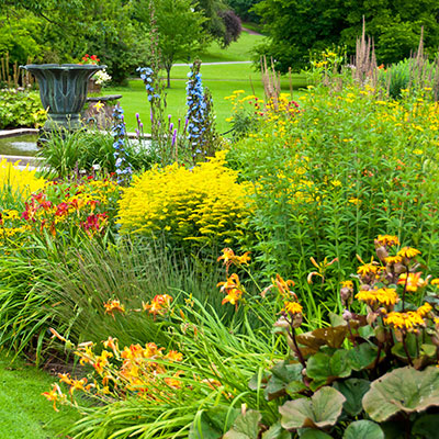 beautiful flowers and landscaping in garden